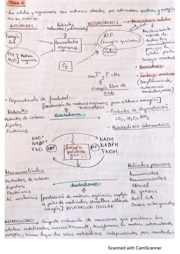 Miniatura del documento Tema-11.pdf