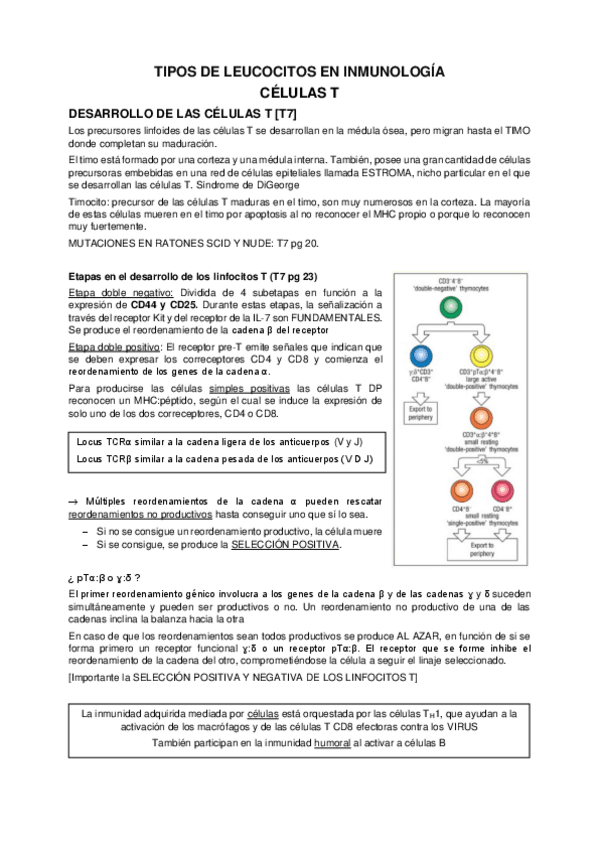 Miniatura del documento TIPOS-DE-LEUCOCITOS-EN-INMUNOLOGIA.pdf