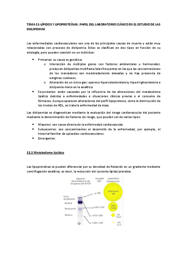 Miniatura del documento TEMA 11- Lípidos y lipoproteínas. Papel del laboratorio clínico en el estudio de las dislipemias..pdf