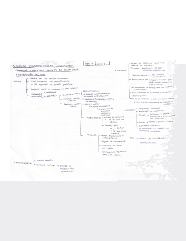 Miniatura del documento esquema-t.9-parte-3.pdf