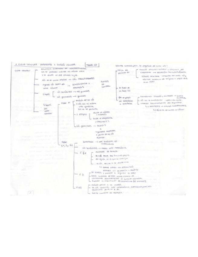 Miniatura del documento esquema-t-10.pdf
