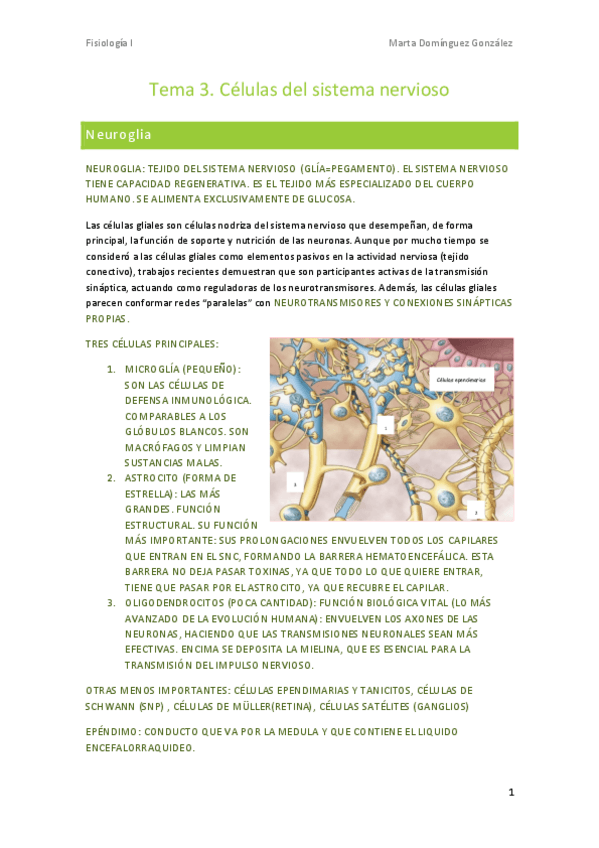 Miniatura del documento Tema-3-fisiologia.pdf