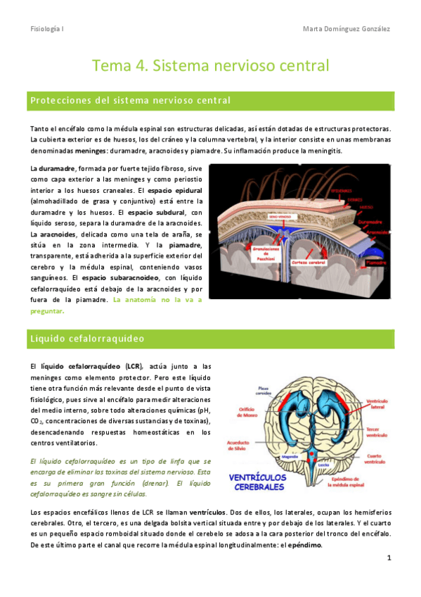 Miniatura del documento Tema-4-fisiologia.pdf