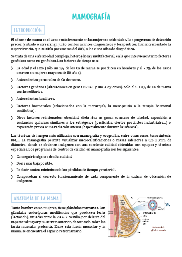 Miniatura del documento Mamografia.pdf