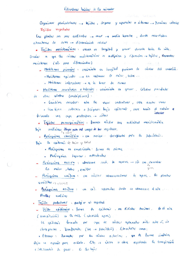 Miniatura del documento Teoria-Estructuras-basicas-de-los-animales.pdf