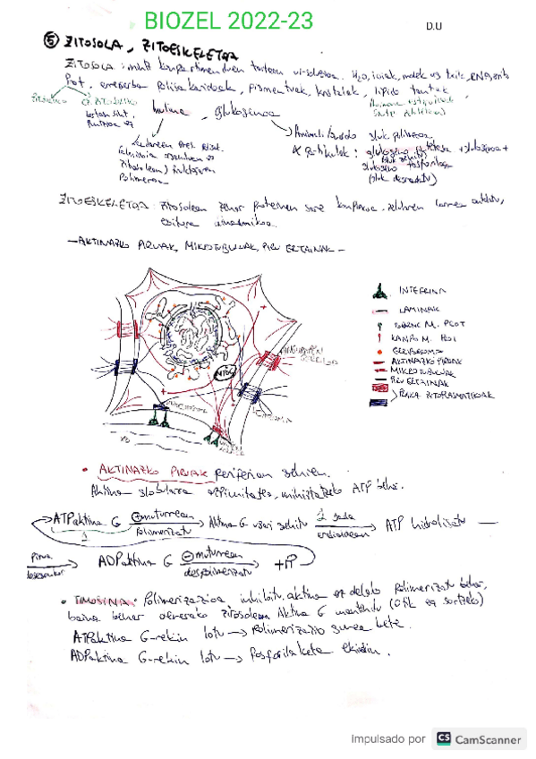 Miniatura del documento Biozel-2022-23.pdf