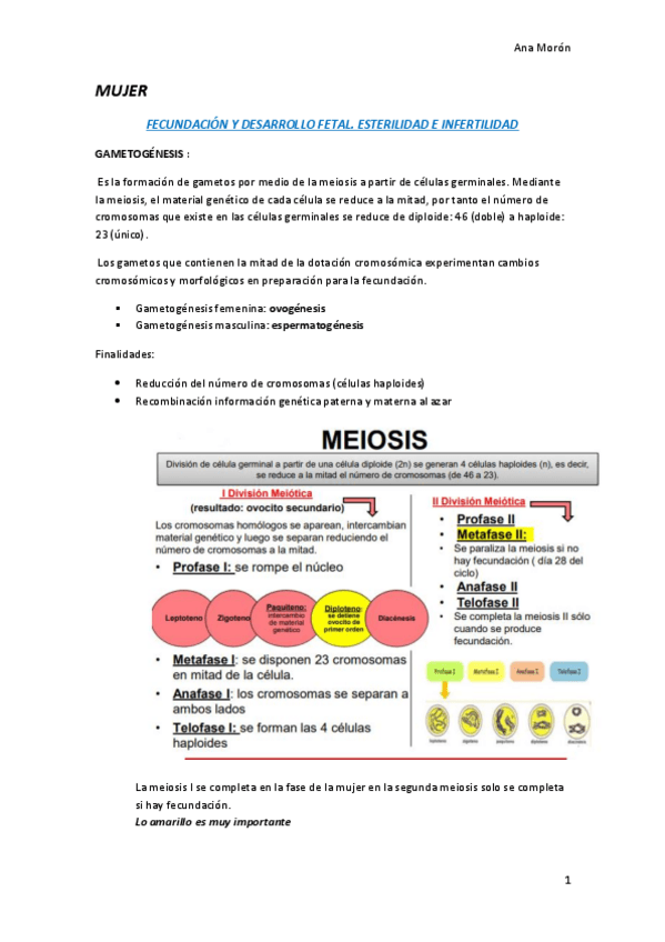 Miniatura del documento MUJER-1.pdf