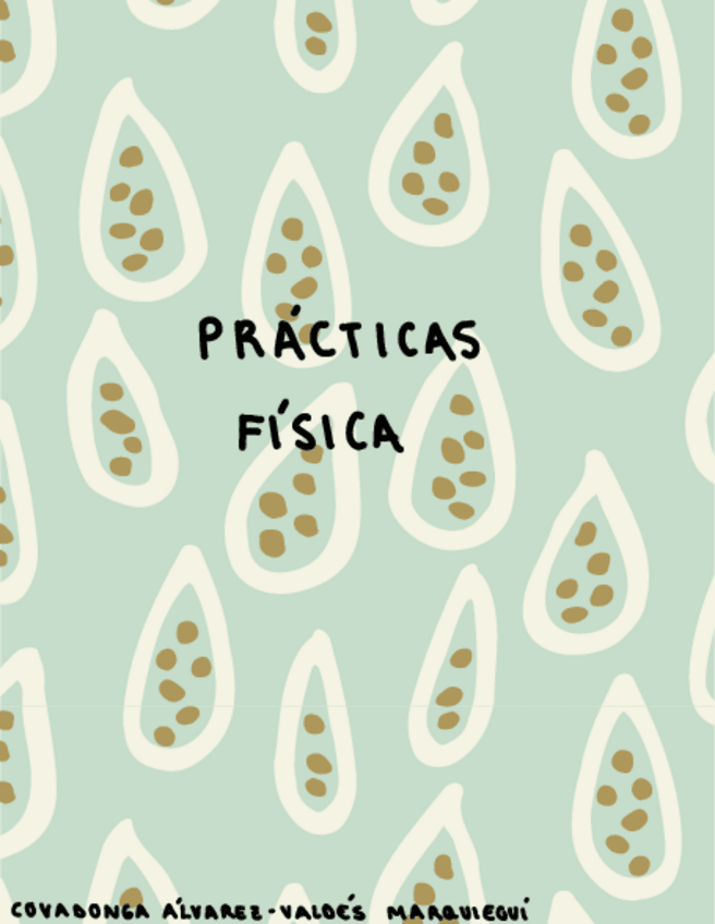 Miniatura del documento Practicas-Fisica.pdf