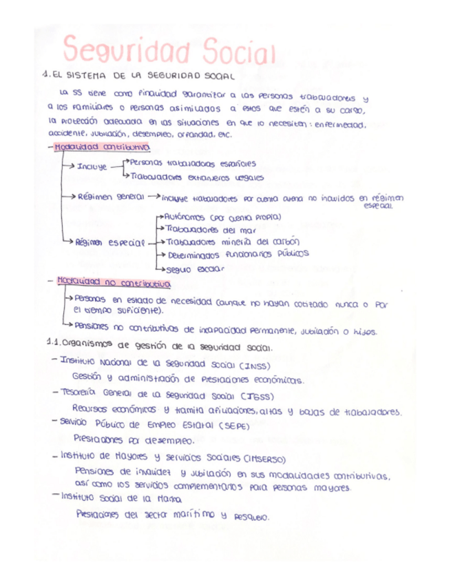 Miniatura del documento Seguridad-Social.pdf