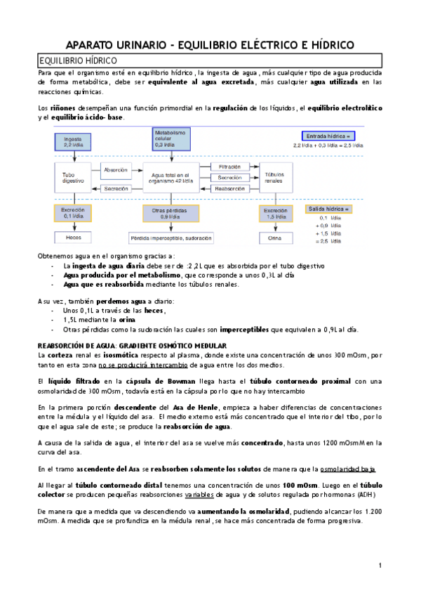 Miniatura del documento T.22-APARATO-URINARIO-EQUILIBRIO-ELECTRICO-E-HIDRICO.pdf