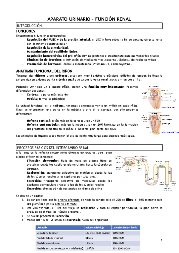 Miniatura del documento T.21-APARATO-URINARIO-FUNCION-RENAL.pdf