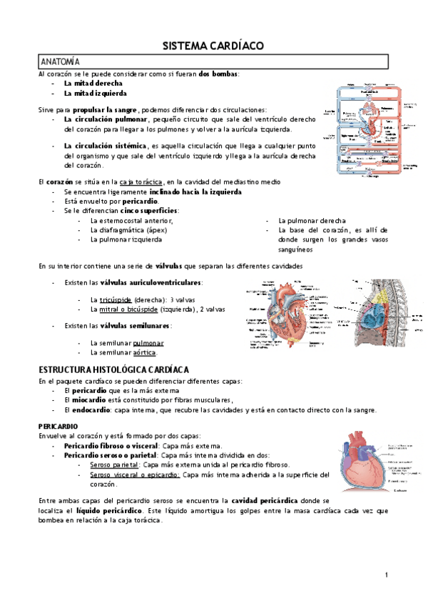 Miniatura del documento T.17-SISTEMA-CARDIACO.pdf