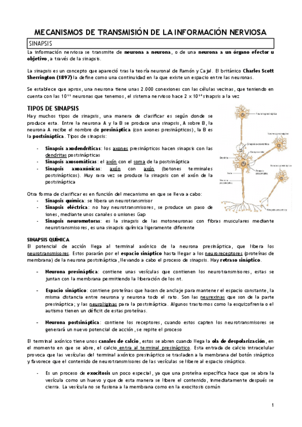 Miniatura del documento T.3-MECANISMOS-DE-TRANSMISION-DE-LA-INFORMACION-NERVIOSA.pdf