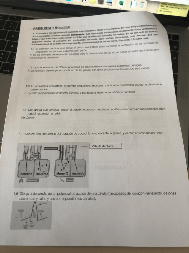 Miniatura del documento EXAMEN-2o-CUATRI.pdf