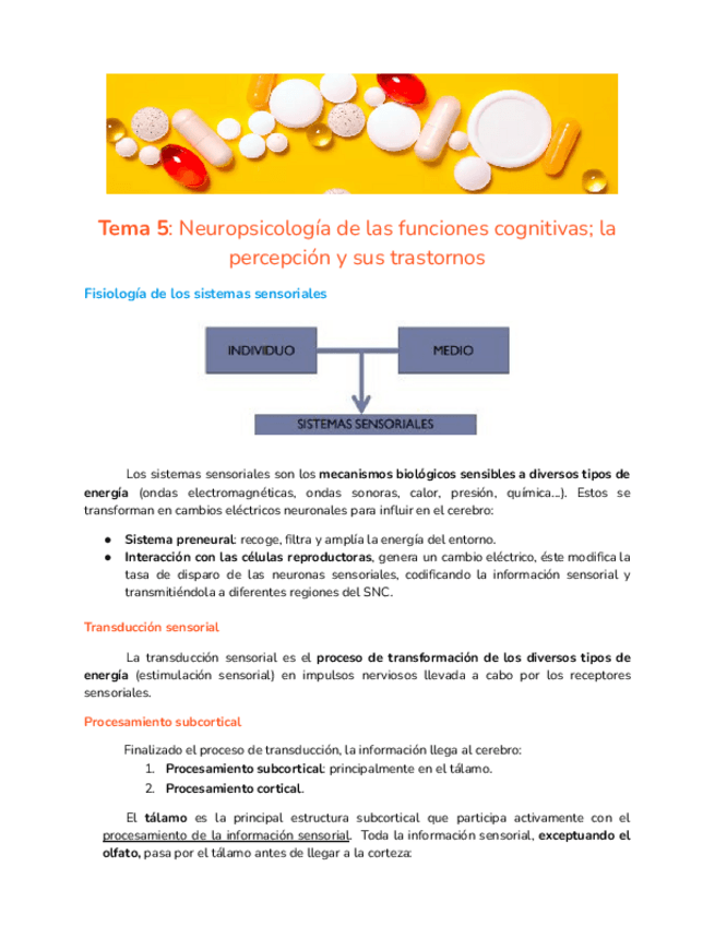 Miniatura del documento Tema-5-neuro.pdf