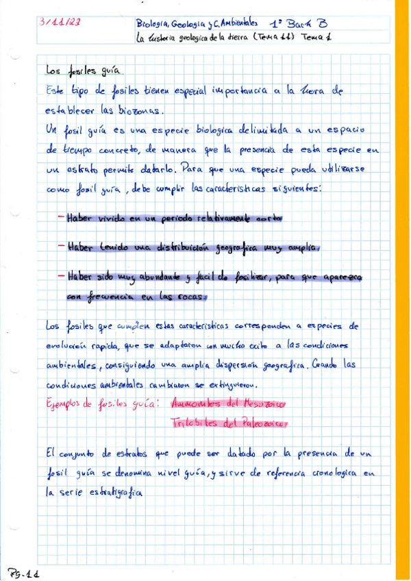 Miniatura del documento P11.pdf