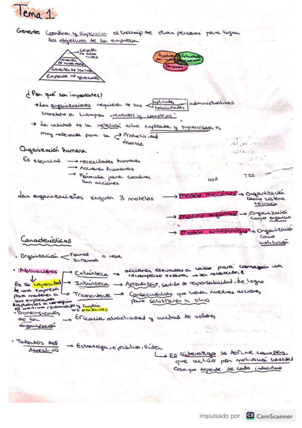 Miniatura del documento Parcial-1.pdf