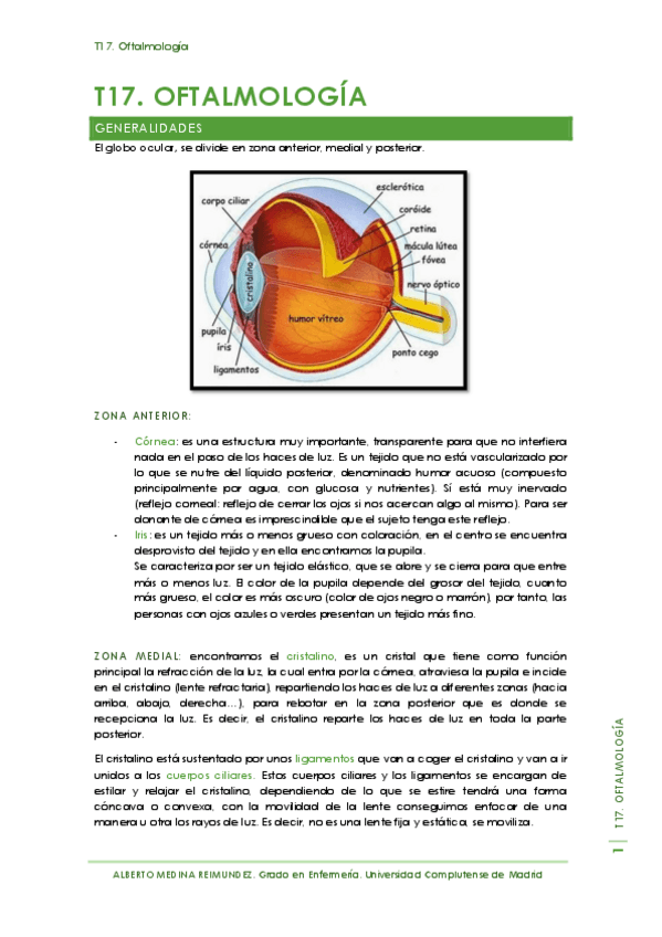 Miniatura del documento T17. Oftalmología.pdf