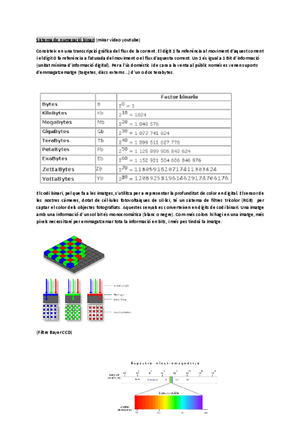 Miniatura del documento Apunts-Codi-Binari.pdf