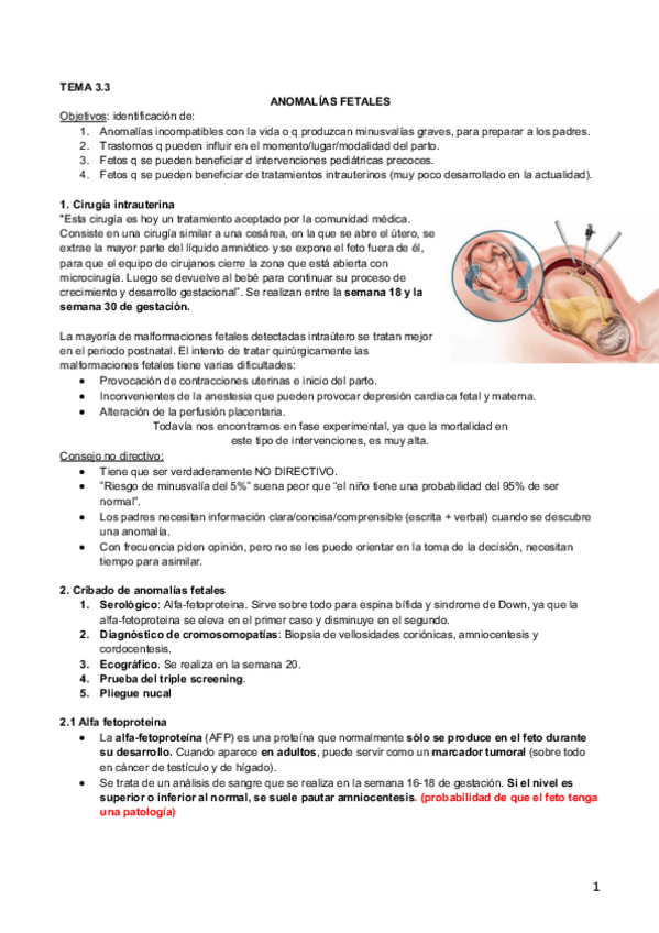 Miniatura del documento 3.3 Anomalias fetales.pdf