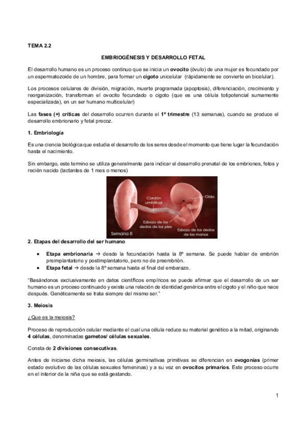 Miniatura del documento 2.2 Reproduccion humana y embriogenesis.pdf