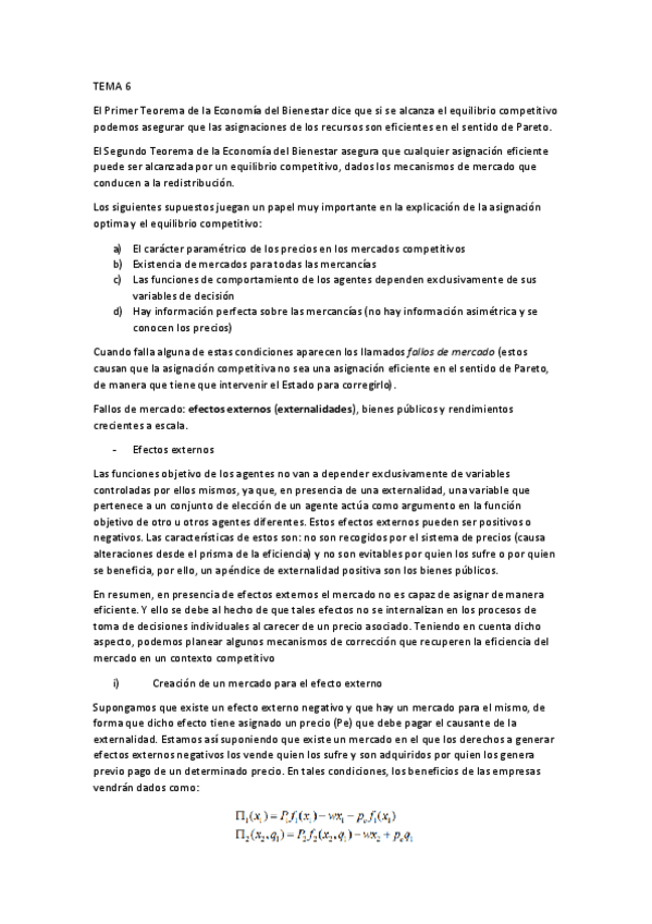 Miniatura del documento TEMA-6.pdf
