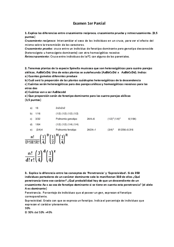 Miniatura del documento EXAMEN1-PARCIALresp.pdf.pdf