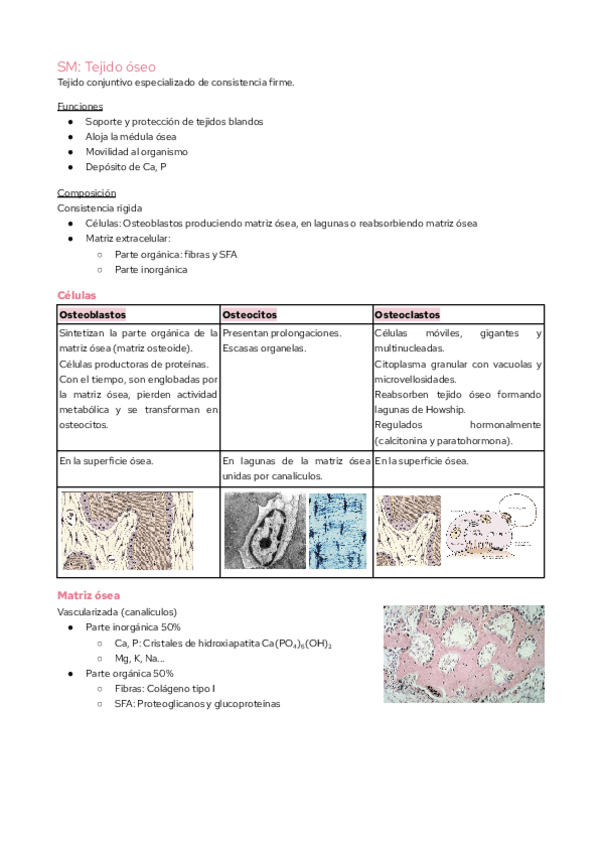 Miniatura del documento SMA-Tejido-oseo.pdf