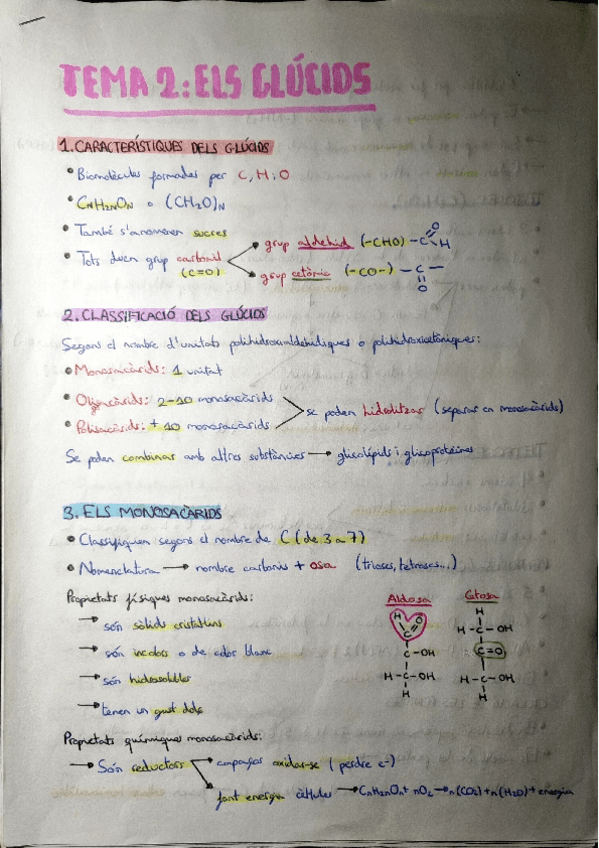 Miniatura del documento TEMA-2-GLUCIDS.pdf