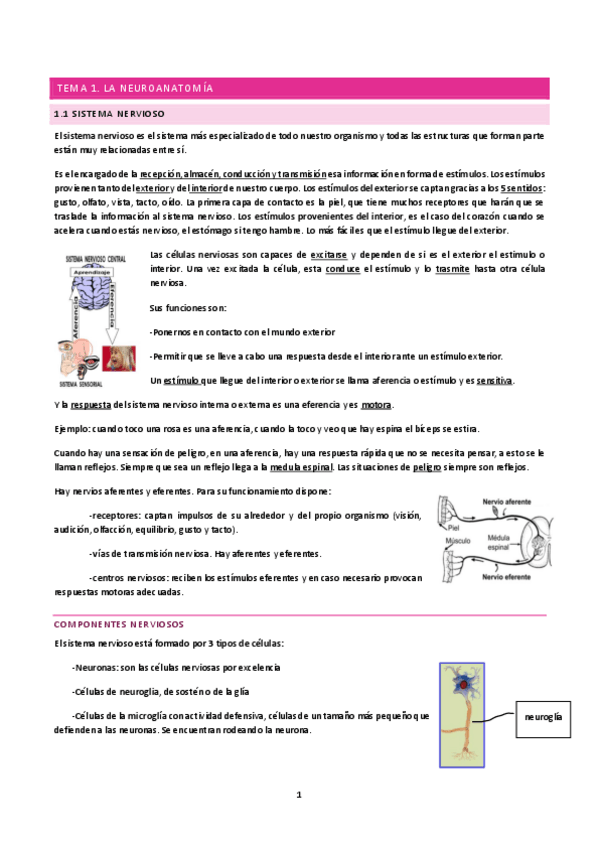Miniatura del documento Tema-1-A.pdf