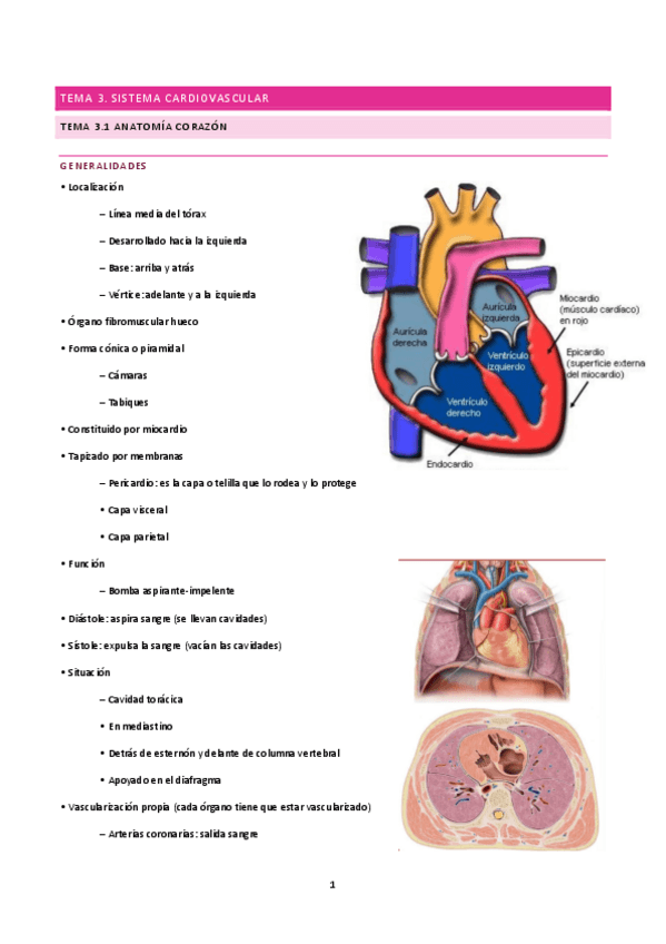Miniatura del documento tema-3-A.pdf