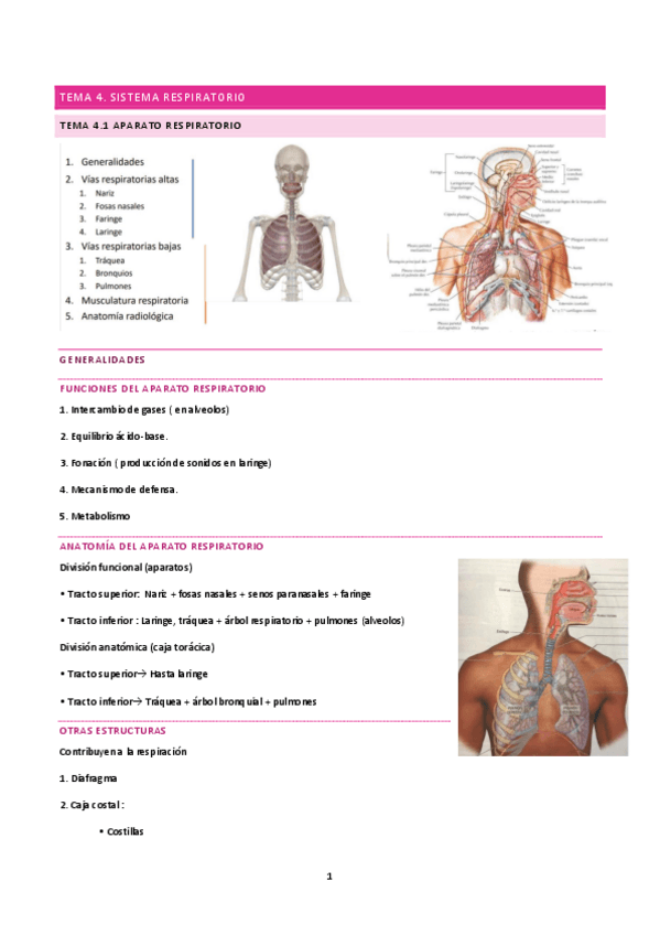 Miniatura del documento Tema-4-A.pdf