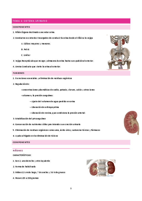 Miniatura del documento tema-6-A.pdf