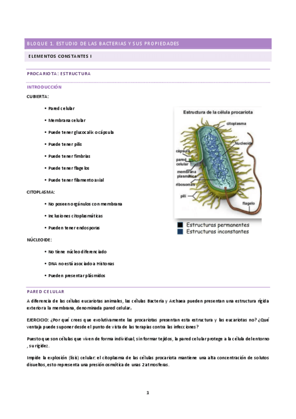 Miniatura del documento tema-34-y-5-M.pdf