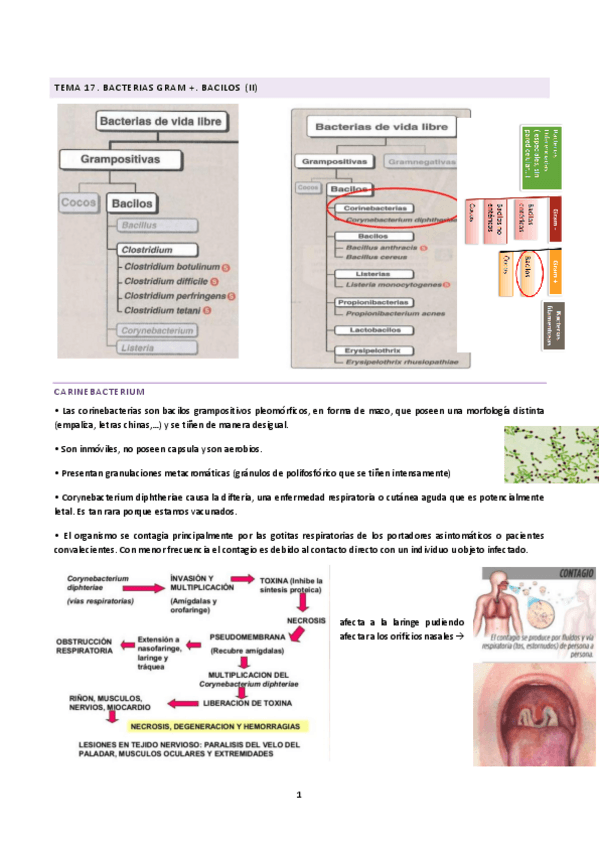Miniatura del documento tema-17-18-y-19-M.pdf