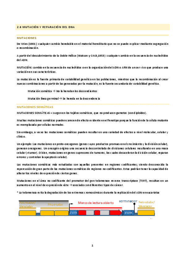 Miniatura del documento Tema-2.2-G.pdf