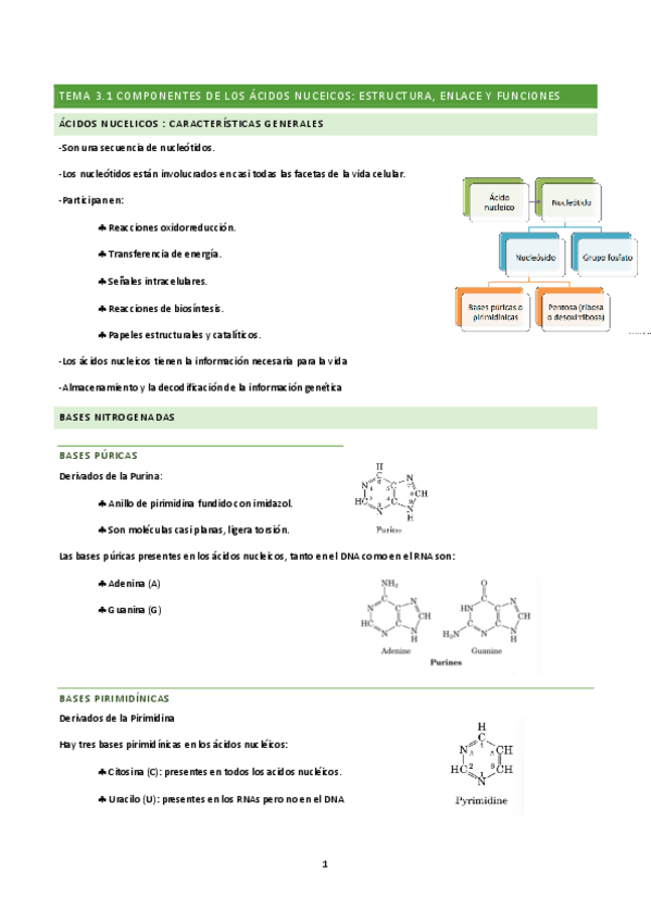 Miniatura del documento tema-3-y-4-BQ.pdf