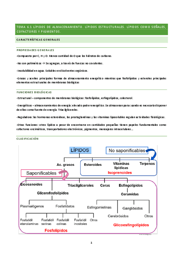 Miniatura del documento tema-6-BQ.pdf