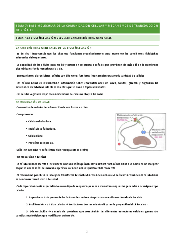 Miniatura del documento TEMA-7-BQ.pdf