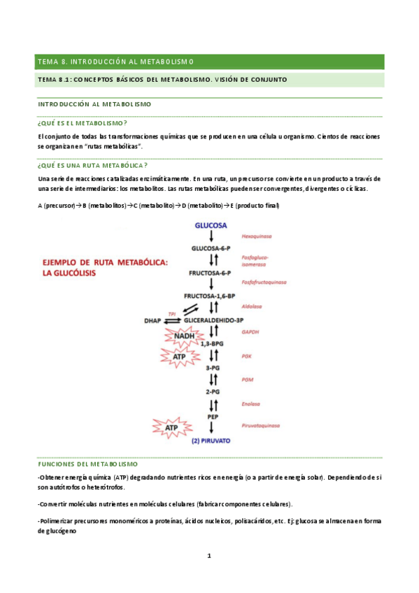 Miniatura del documento tema-8-BQ.pdf