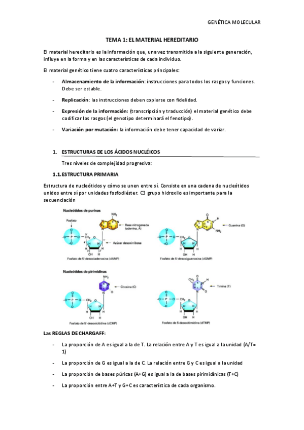Miniatura del documento TEMA-1-apuntes-genetica.pdf