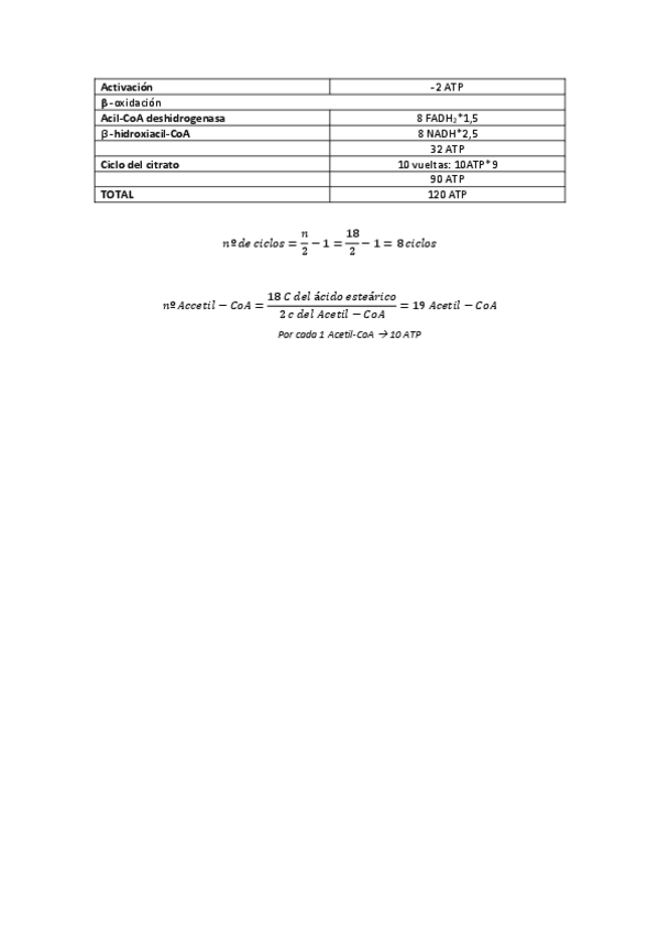 Miniatura del documento Cálculo de producción de ATP por la oxidaciónn del ácido esteárico.pdf