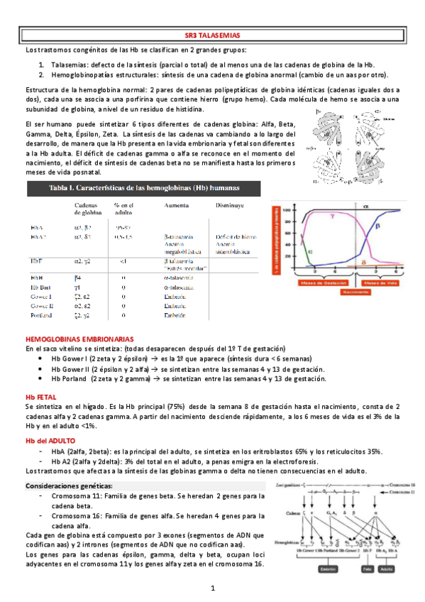 Miniatura del documento SR3-TALASEMIAS.pdf