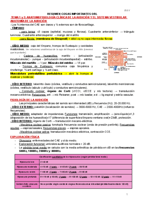 Miniatura del documento RESUMEN-OTORRINO.pdf