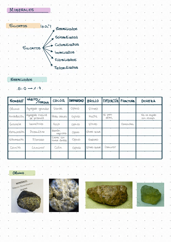 Miniatura del documento Minerales-y-rocas.pdf
