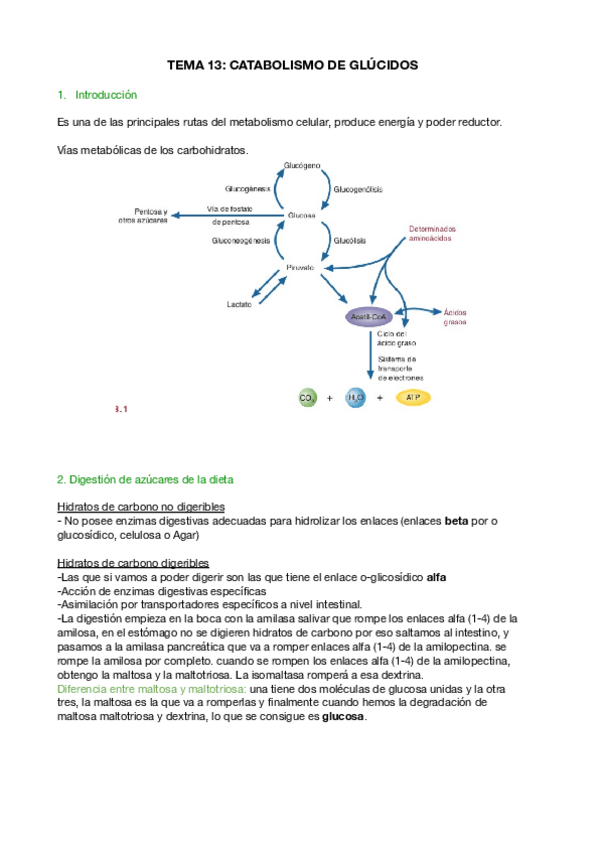 Miniatura del documento 2-parcial-bioquimica.pdf