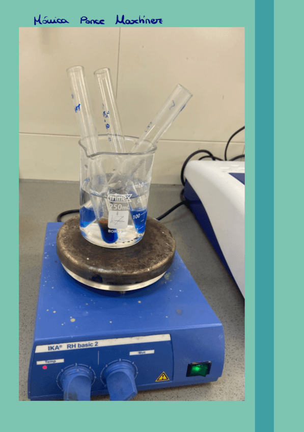 Miniatura del documento Seminarios-Bioquimica.pdf