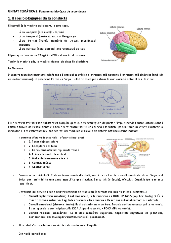 Miniatura del documento tema-2.1-psicologia.pdf