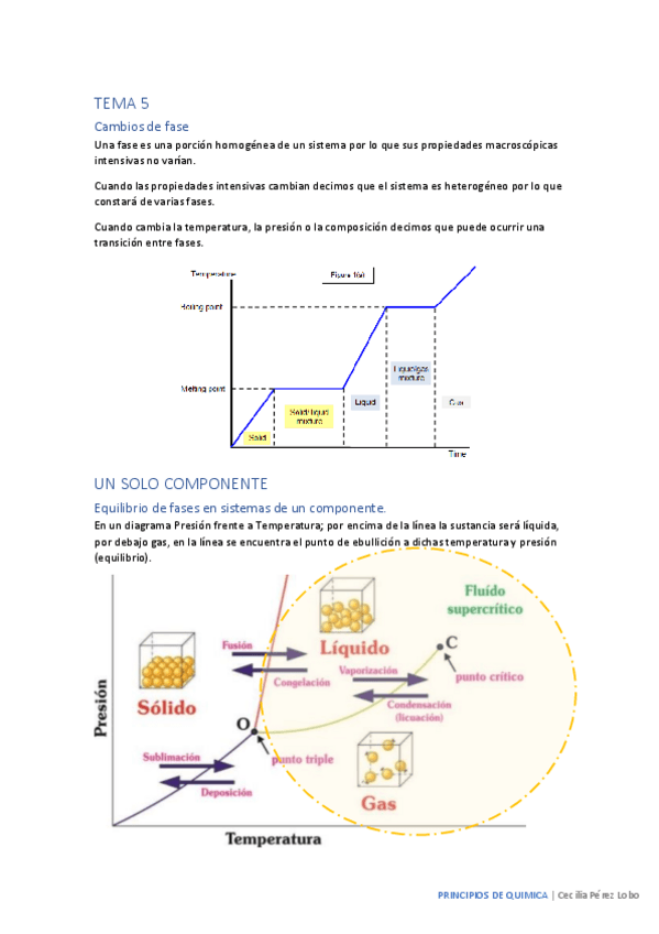 Miniatura del documento PQ (1).pdf