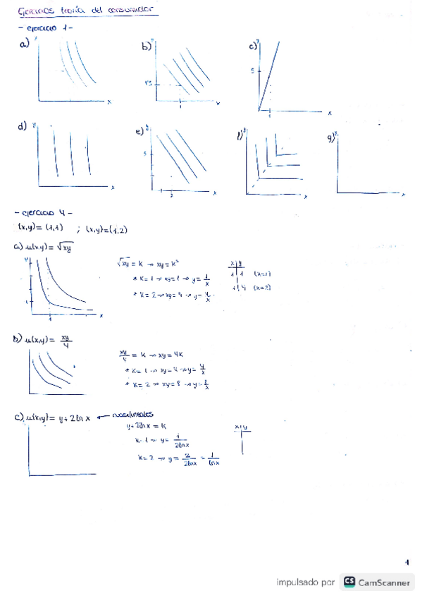 Miniatura del documento ejercicios-teoria-del-consumidor.pdf